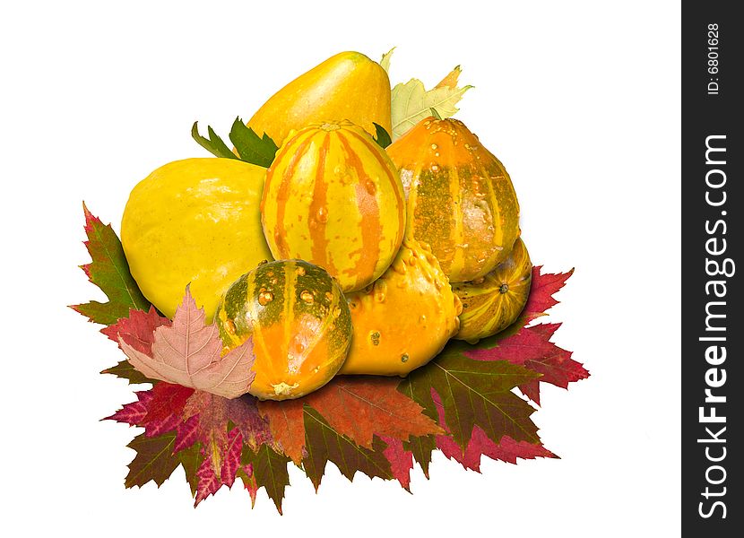A composite of seven gourds and leaves against a white background