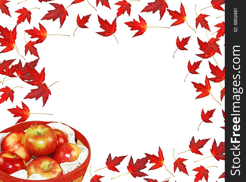 Canadian red maple leaves,with a basket of McIntosh apples in a basket on white. Canadian red maple leaves,with a basket of McIntosh apples in a basket on white