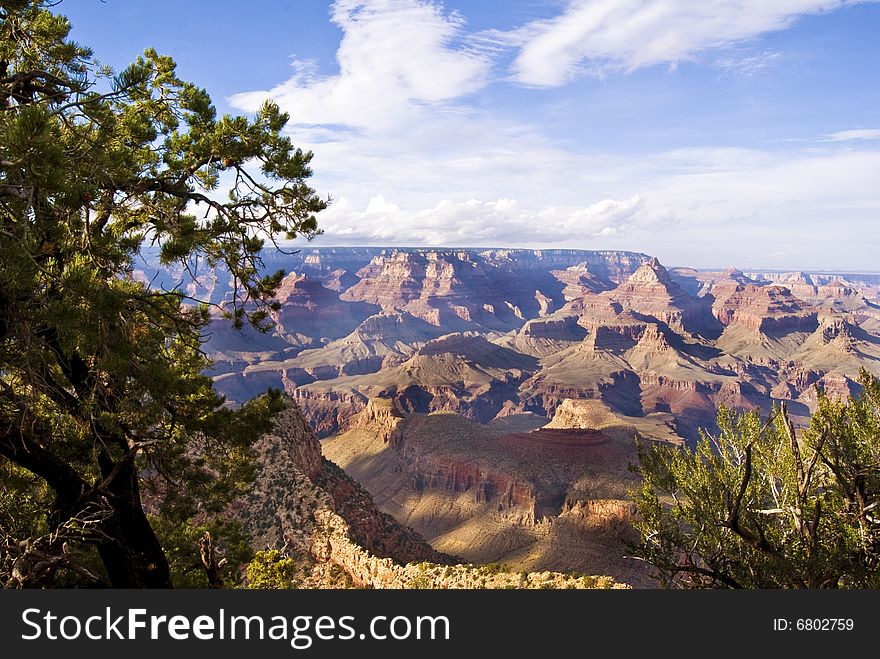 Panoramic view of the Grand Canyon. Arizona, USA