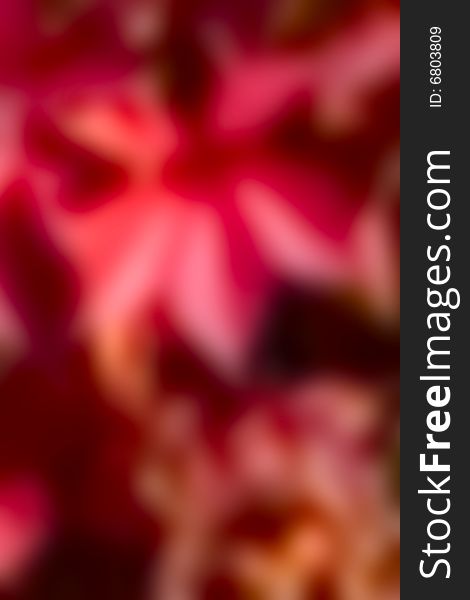 Abstract holiday background for your design. Abstract holiday background for your design