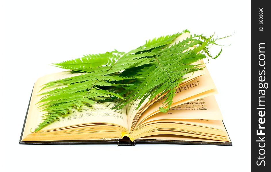 Book and plant isolated on white