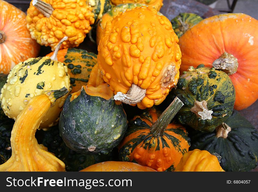 Orange and green italian pumpkins. vegetables food. Orange and green italian pumpkins. vegetables food.