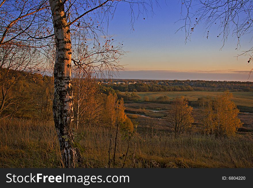 Birch, forest and meadows at sunset. Birch, forest and meadows at sunset
