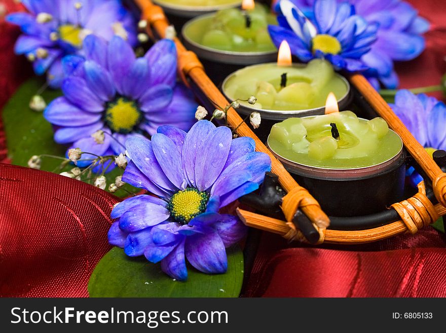 Candles And Blue Flowers