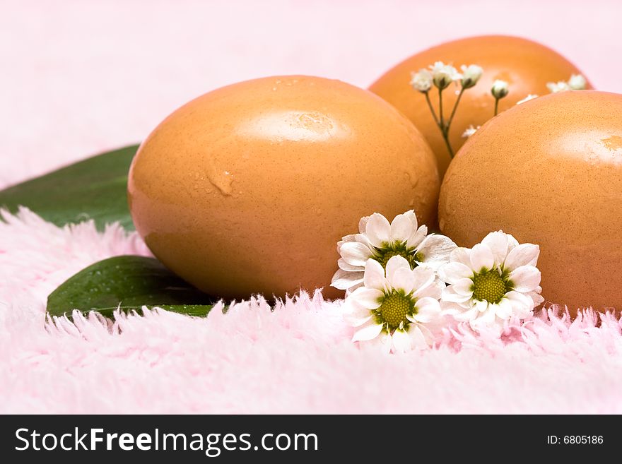 Easter eggs with white flowers. Easter eggs with white flowers