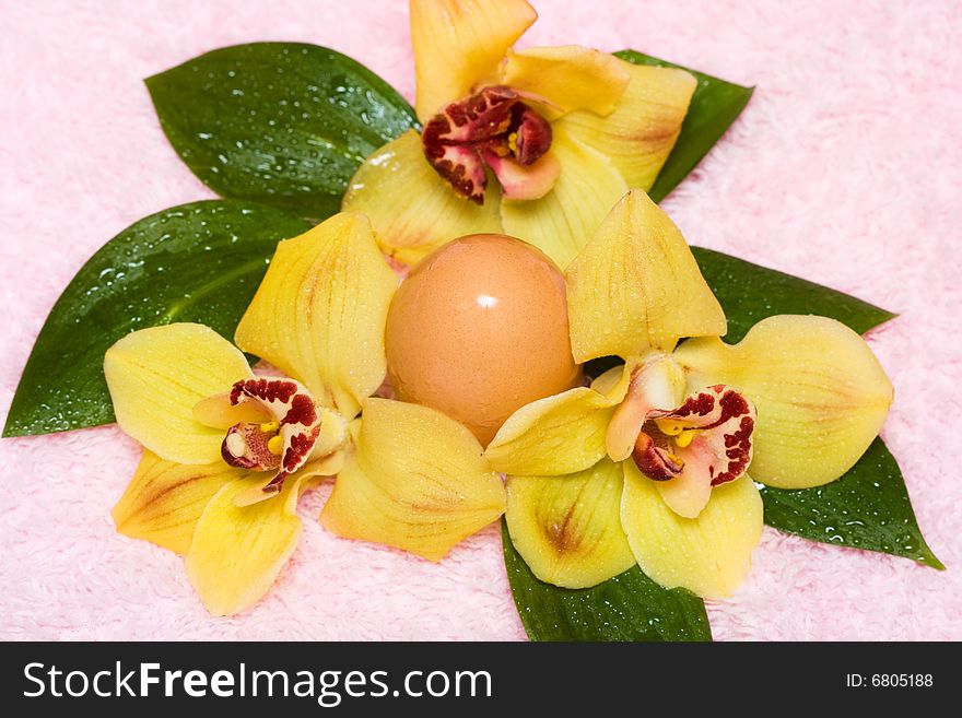 Easter egg with yellow orchids. Easter egg with yellow orchids