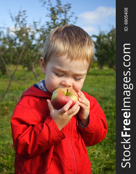 A toddler boy wearing a red jacket taking a bite of a freshly picked apple at the orchard. A toddler boy wearing a red jacket taking a bite of a freshly picked apple at the orchard.