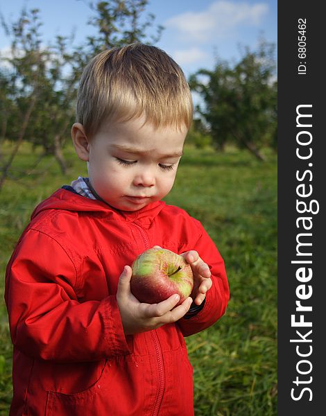 A toddler boy wearing a red jacket looking at a freshly picked apple at the orchard. A toddler boy wearing a red jacket looking at a freshly picked apple at the orchard.