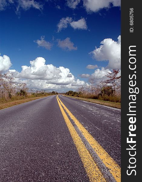 A street running through Everglades National Park on a pleasant and warm winter day in December. A street running through Everglades National Park on a pleasant and warm winter day in December.