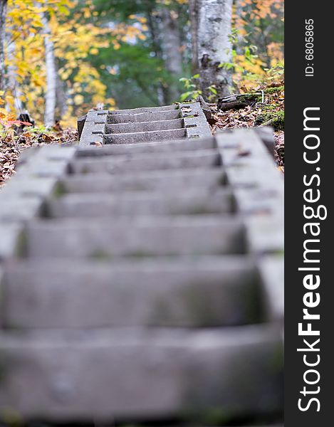 Wood stairway on hicking trail in quebec canada. Wood stairway on hicking trail in quebec canada.