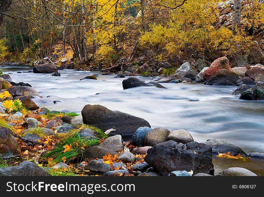 Creek In The Forest In Autumn