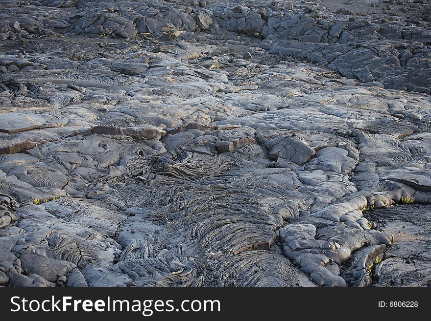 A landscape of hardened molten lava that is thick, black and ropey. A landscape of hardened molten lava that is thick, black and ropey