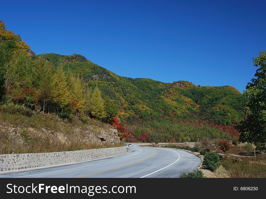 Good Color of Leaves at Autumn in North of China. Good Color of Leaves at Autumn in North of China