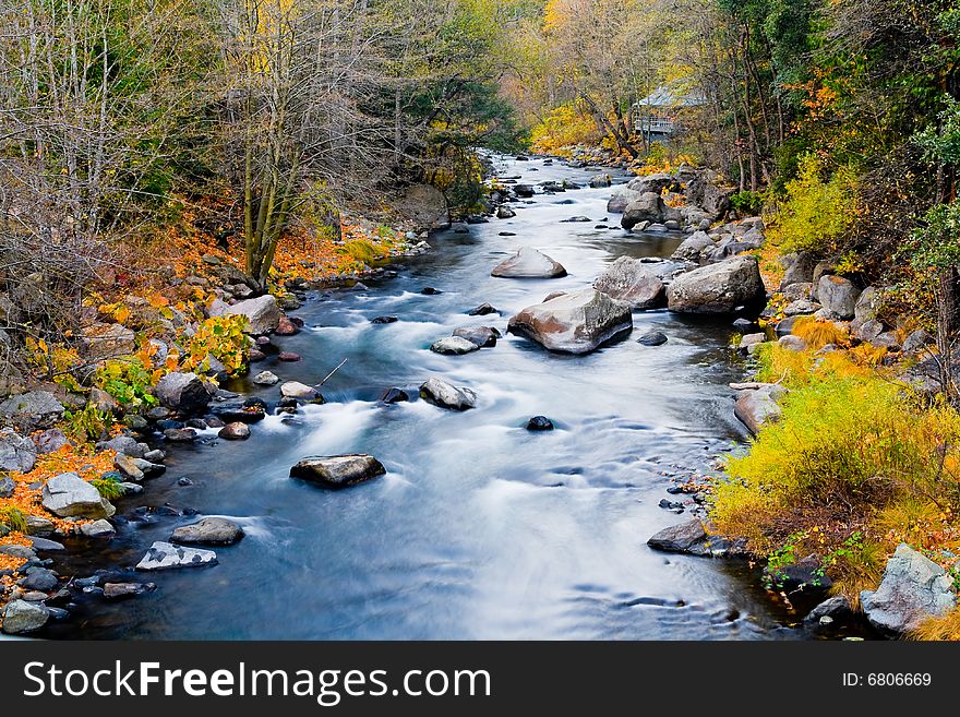 Creek in the forest in autumn