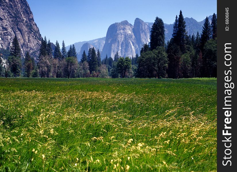 Yosemite Valley in Summer 2008. Yosemite Valley in Summer 2008