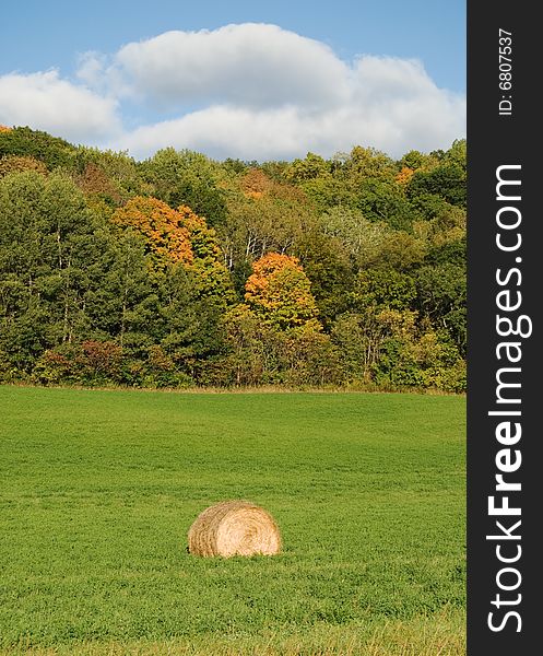 Rural farm field in the autumn months