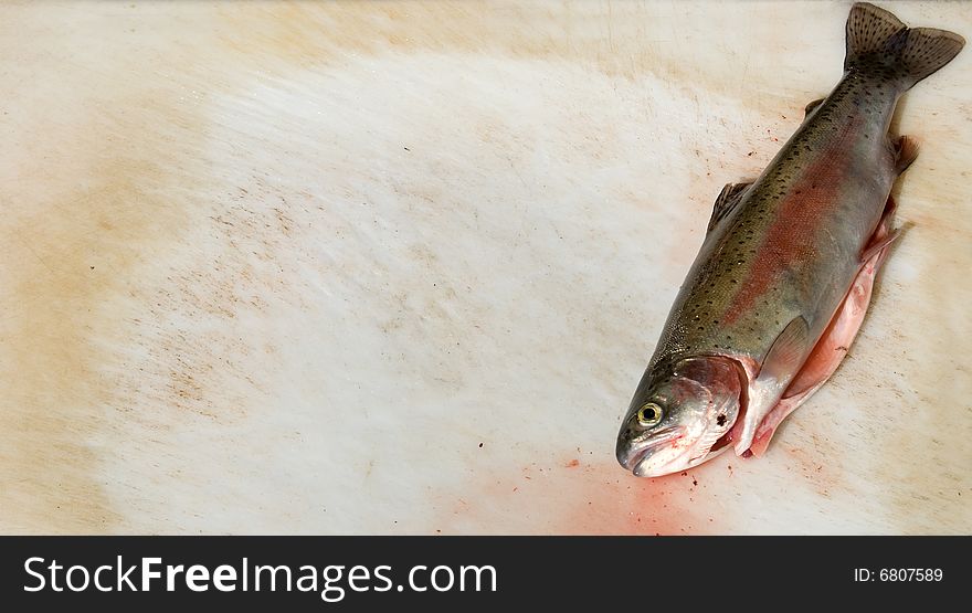 Rainbow trout fish prepared to be filleted