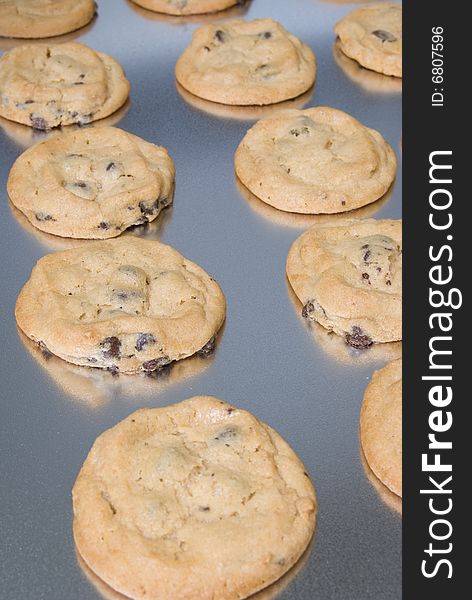 Chocolate chip cookies freshly baked on a cookie sheet