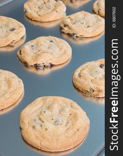 Chocolate chip cookies freshly baked on a cookie sheet