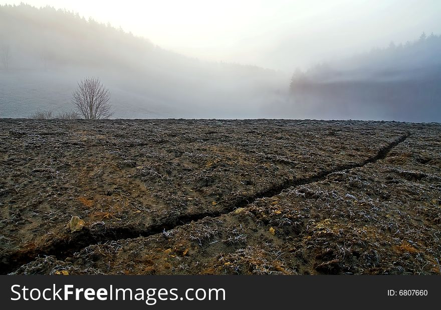 View of cracked field in fogs. View of cracked field in fogs