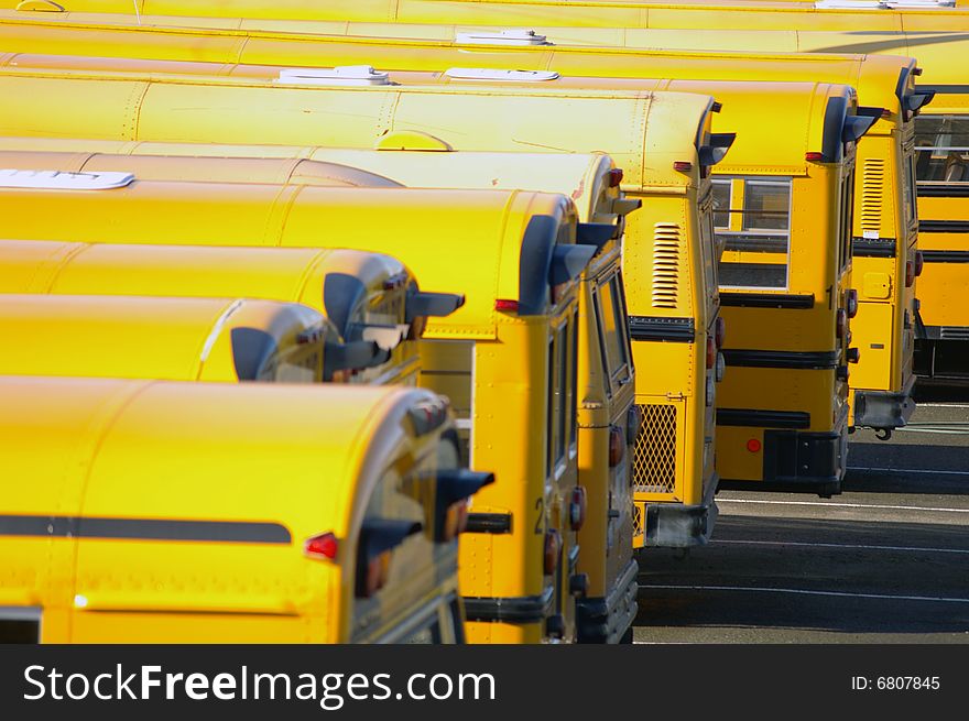 Back of parked school buses in a parking lot