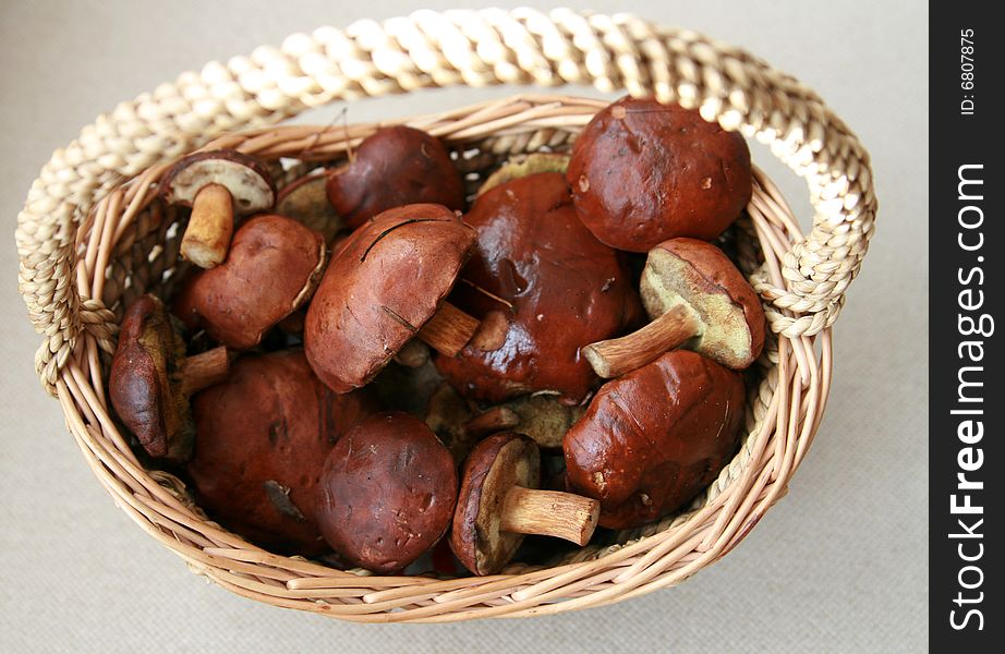 Basket full of mushrooms isolated on white background. Basket full of mushrooms isolated on white background