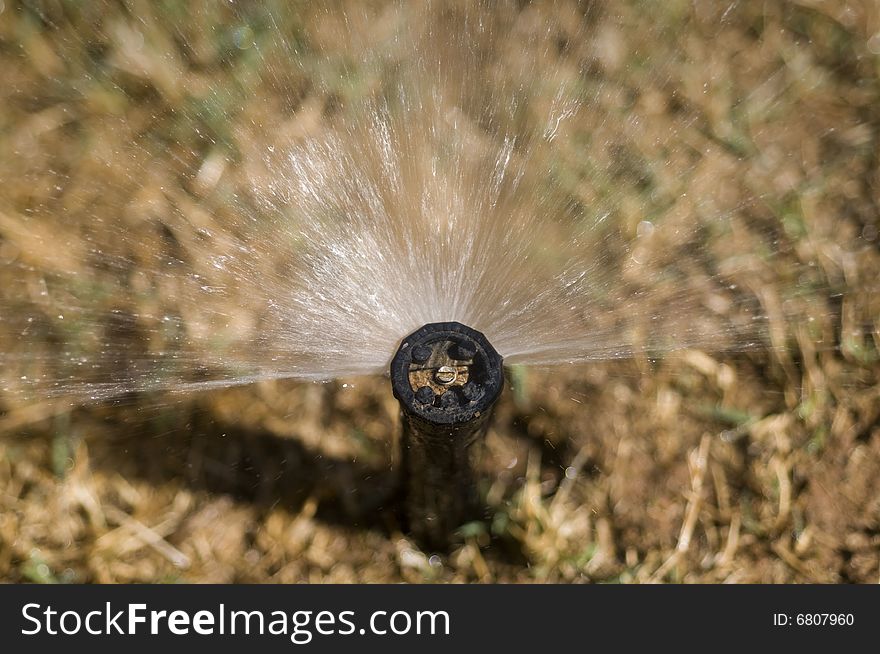 Water sprinkler on landscaped lawn