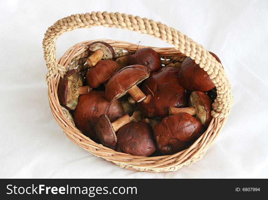 Basket full of mushrooms on white background. Basket full of mushrooms on white background