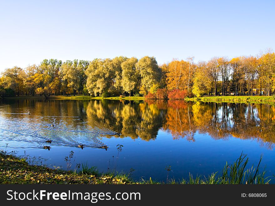 Autumn landscape of lake and bright trees