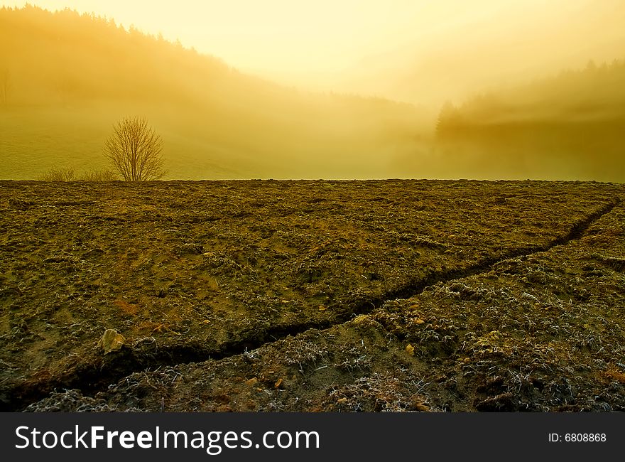 Cracked field in yellow fogs
