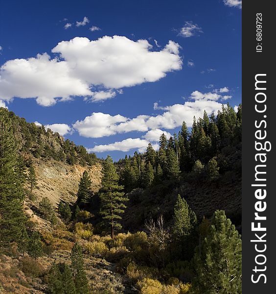 Blue sky with mountain canyon and tree in the center. Blue sky with mountain canyon and tree in the center.