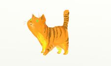 Ginger Cat Stock Images
