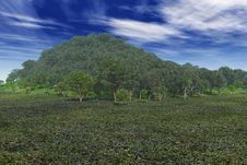 Lush Hilltop Stock Photo Lush Hilltop Stock Photo