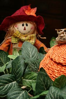 Scarecrow Stock Photos Scarecrow Stock Photos