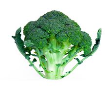Broccoli Royalty Free Stock Images Broccoli Royalty Free Stock Images
