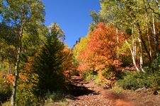 Fall Splender 67 Stock Image Fall Splender 67 Stock Image