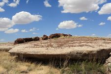 Landscape At Petrified Forest National Park Stock Photos