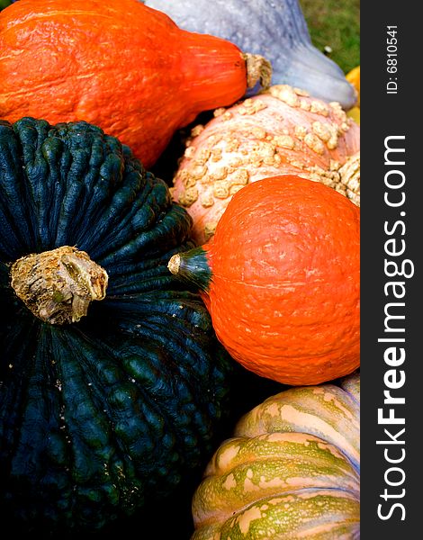 Photography of the decorative pumpkins