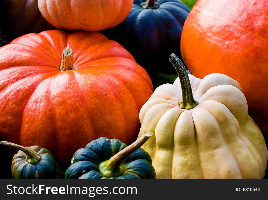 Photography of the decorative pumpkins