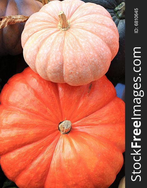 Photography of the decorative pumpkins