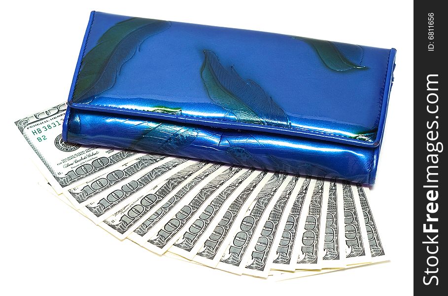 Wallet with one hundred dollars