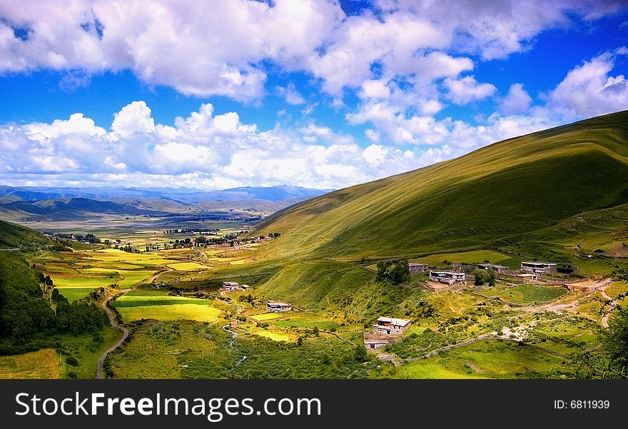 Valley Of Flower In Btibet