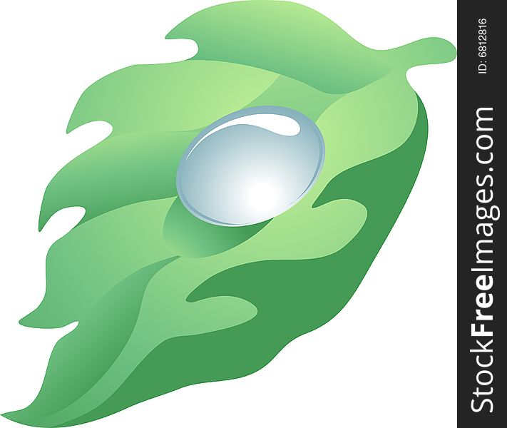 Vector Illustration Of The Leaf With The Drop