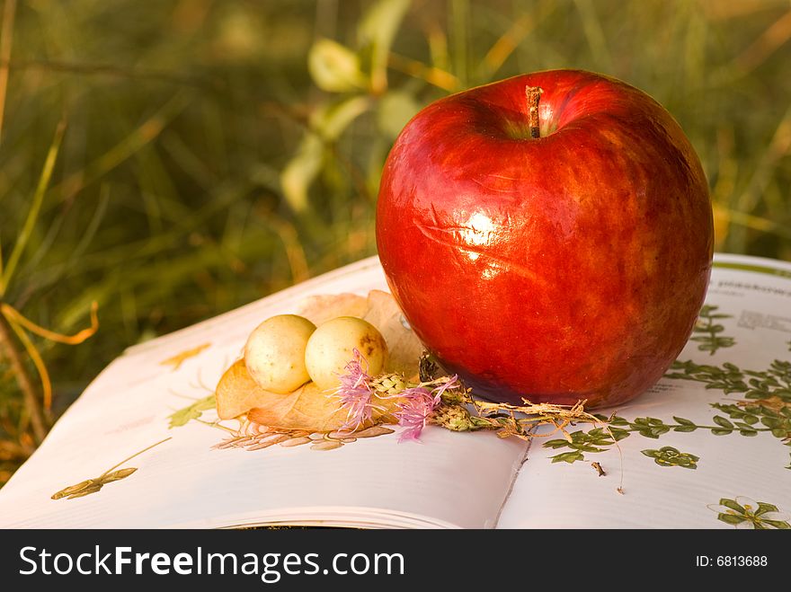 Red apple on herbal book. Study herbal recognize in open air.