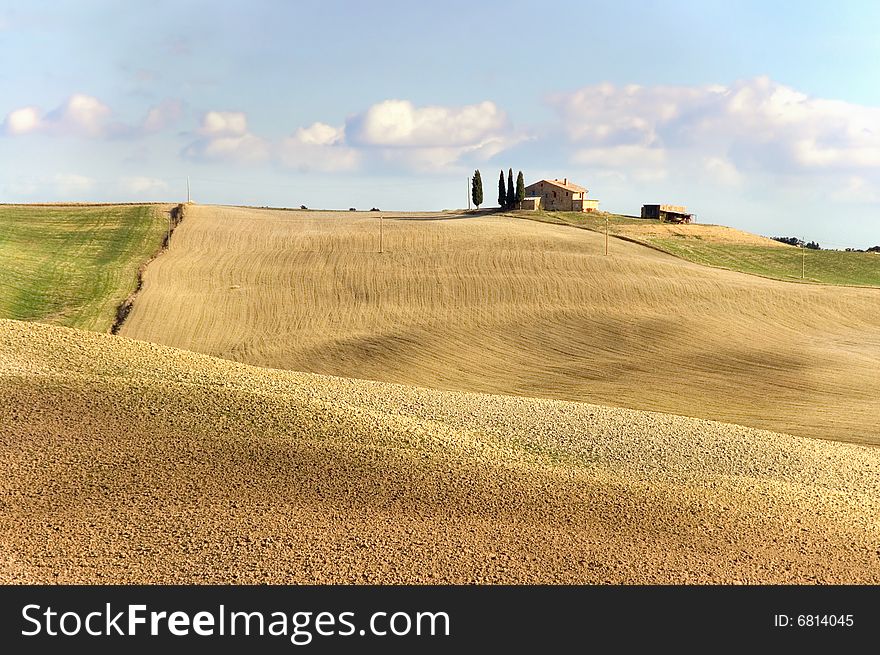 Farm In The Tuscany