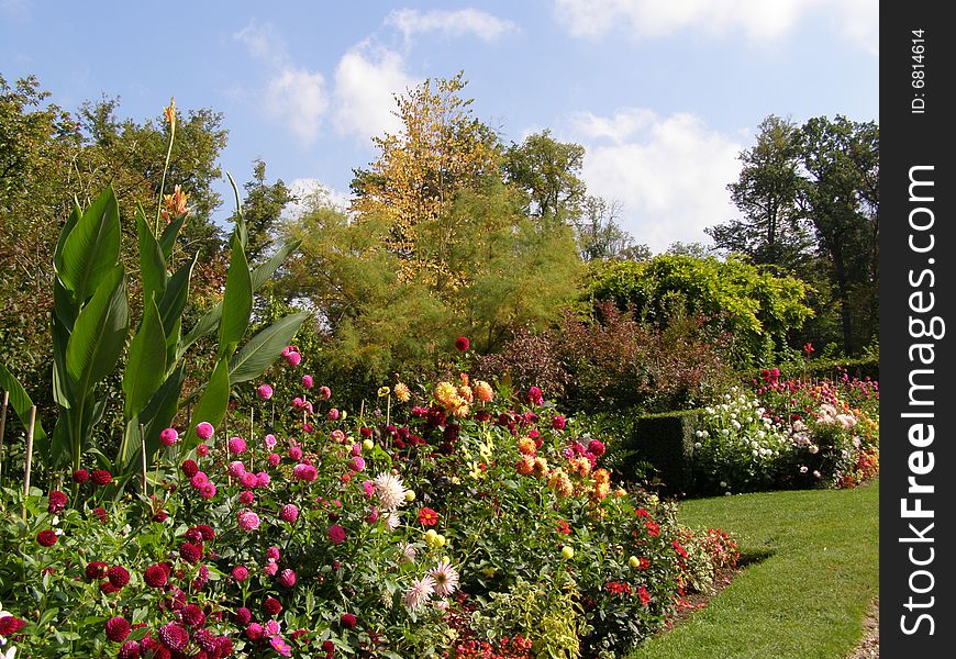 Garden path with a lot of flowers