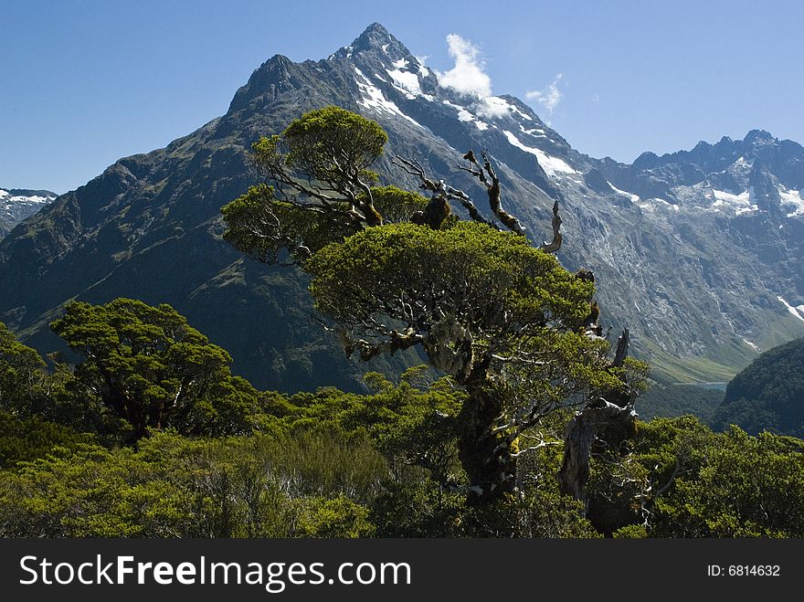 View from the top of Key Summit, Milford Sound, Fiordland National Park, New Zealand. View from the top of Key Summit, Milford Sound, Fiordland National Park, New Zealand