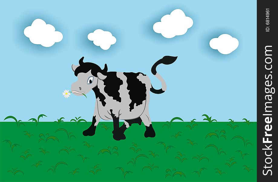 Chewing cow on a meadow