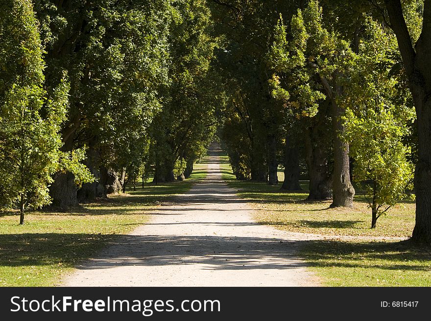 Empty alley in the park. Empty alley in the park