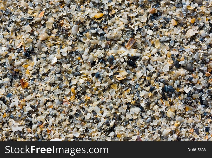 Coloured sand with seashells background